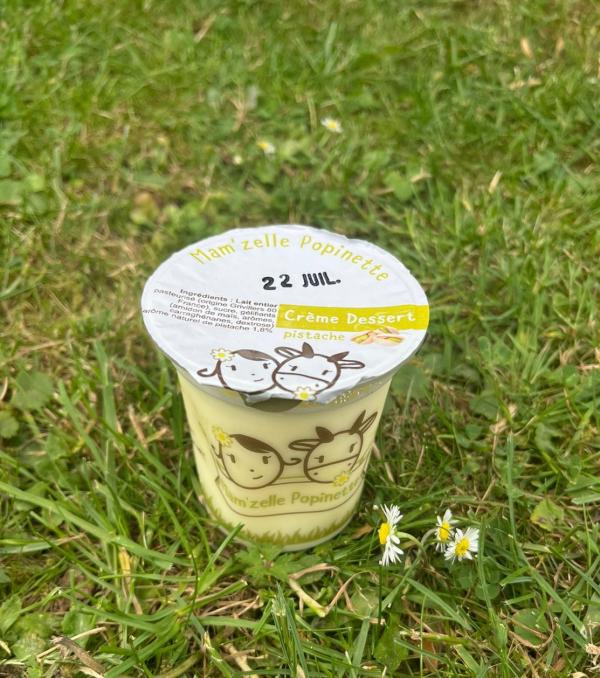 CREME DESSERT PISTACHE